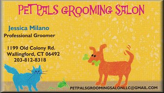 Pet Pals Grooming Salon, Wallingford